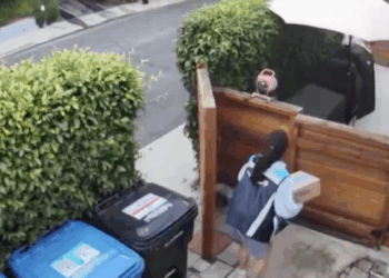 Amazon despide a repartidora captada defecando y orinando en casas de Los Ángeles